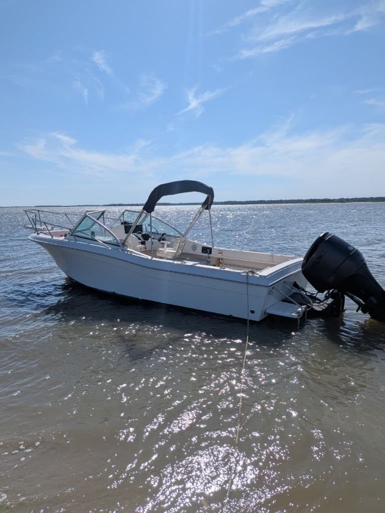 Charter experience 8
