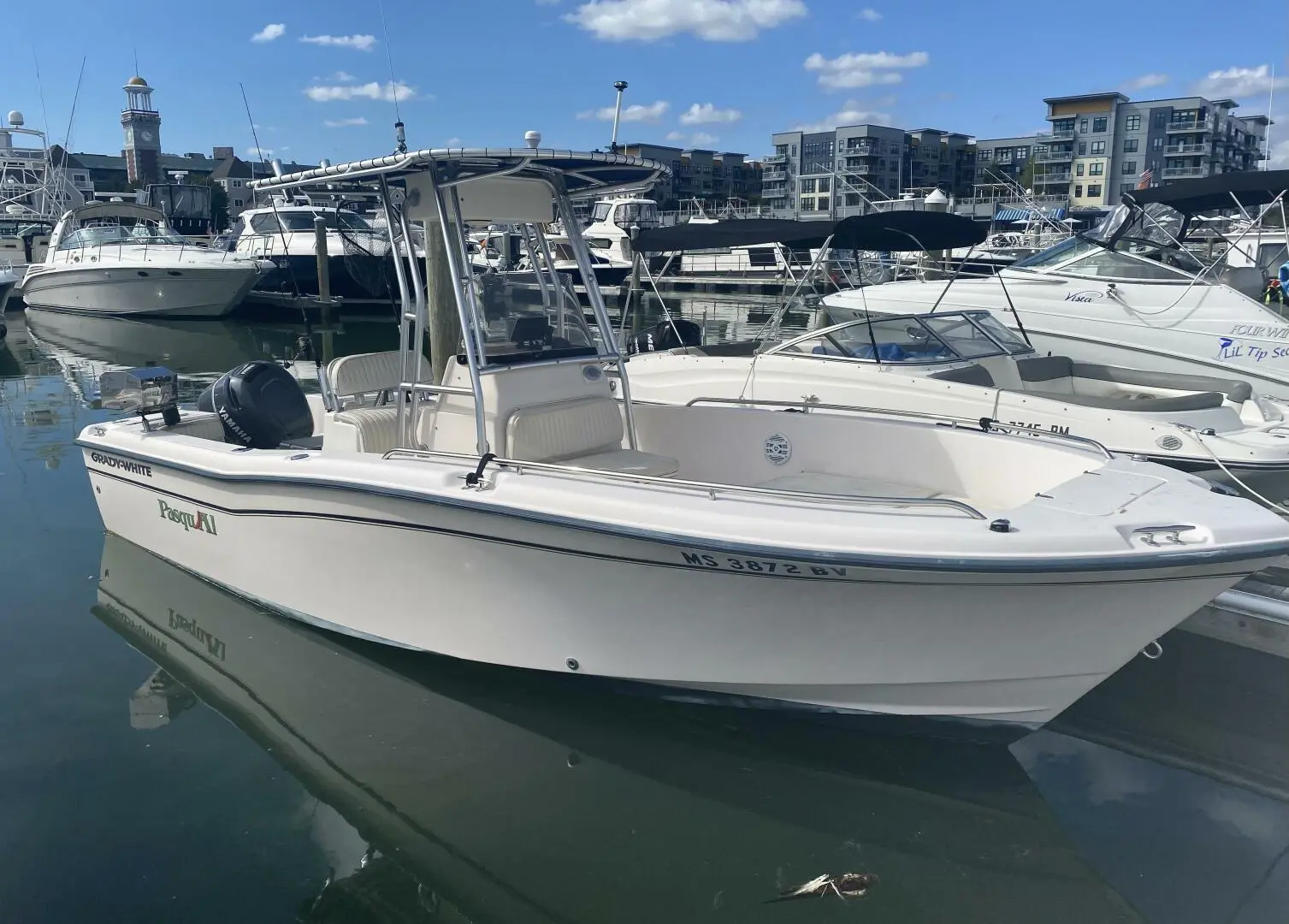 Charter experience 7